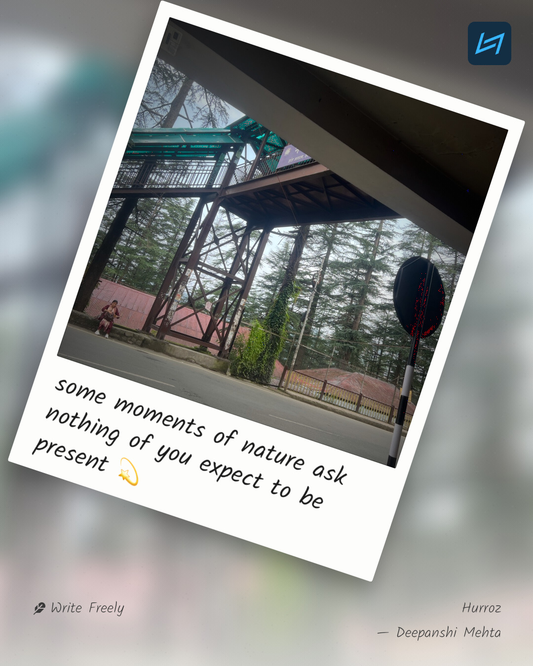 some moments of nature ask nothing of you expect to be present 💫