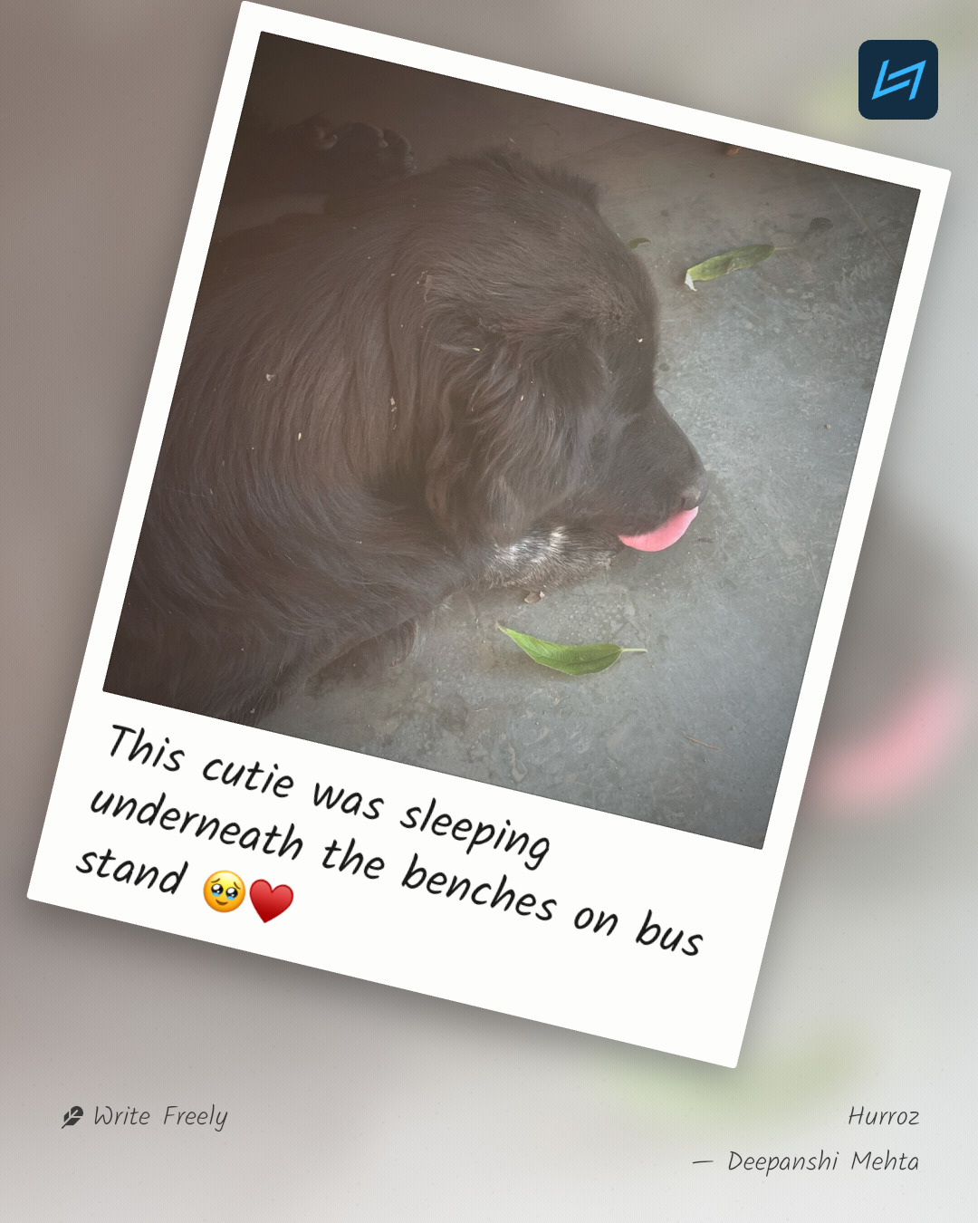This cutie was sleeping underneath the benches on bus stand 🥹♥️