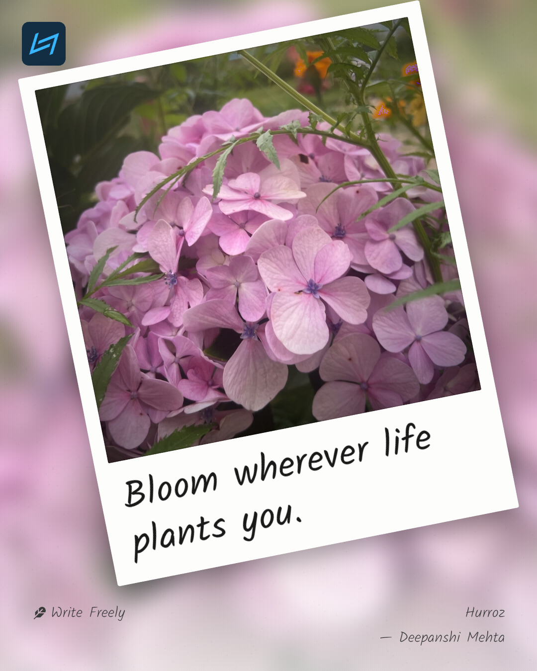 Bloom wherever life plants you.