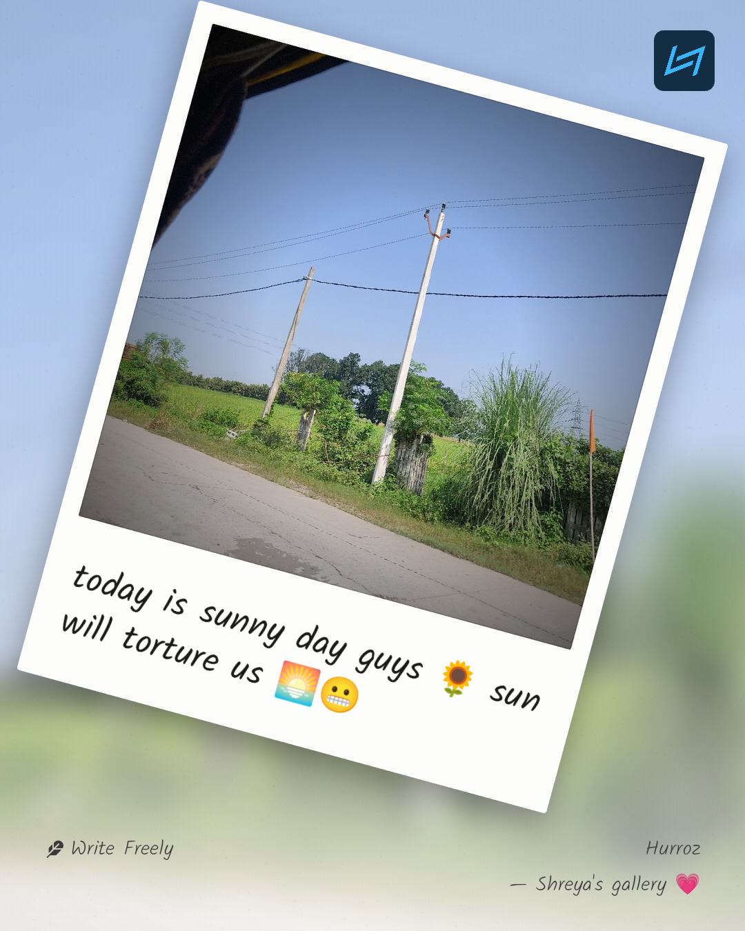 today is sunny day guys 🌻 sun will torture us 🌅😬
