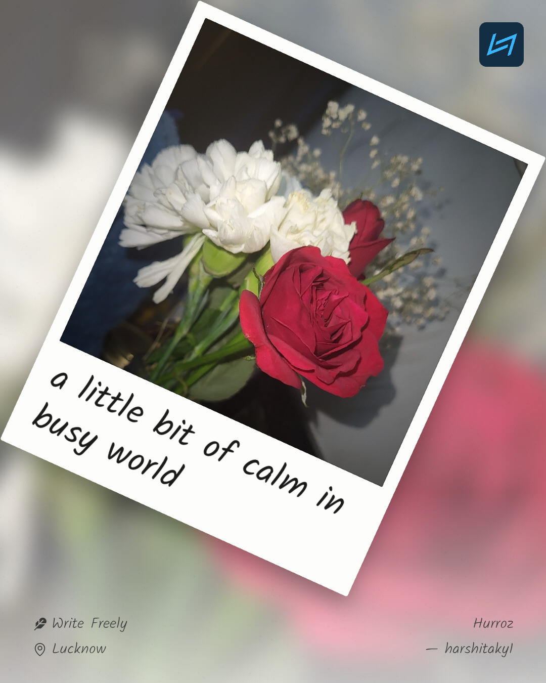a little bit of calm in busy world