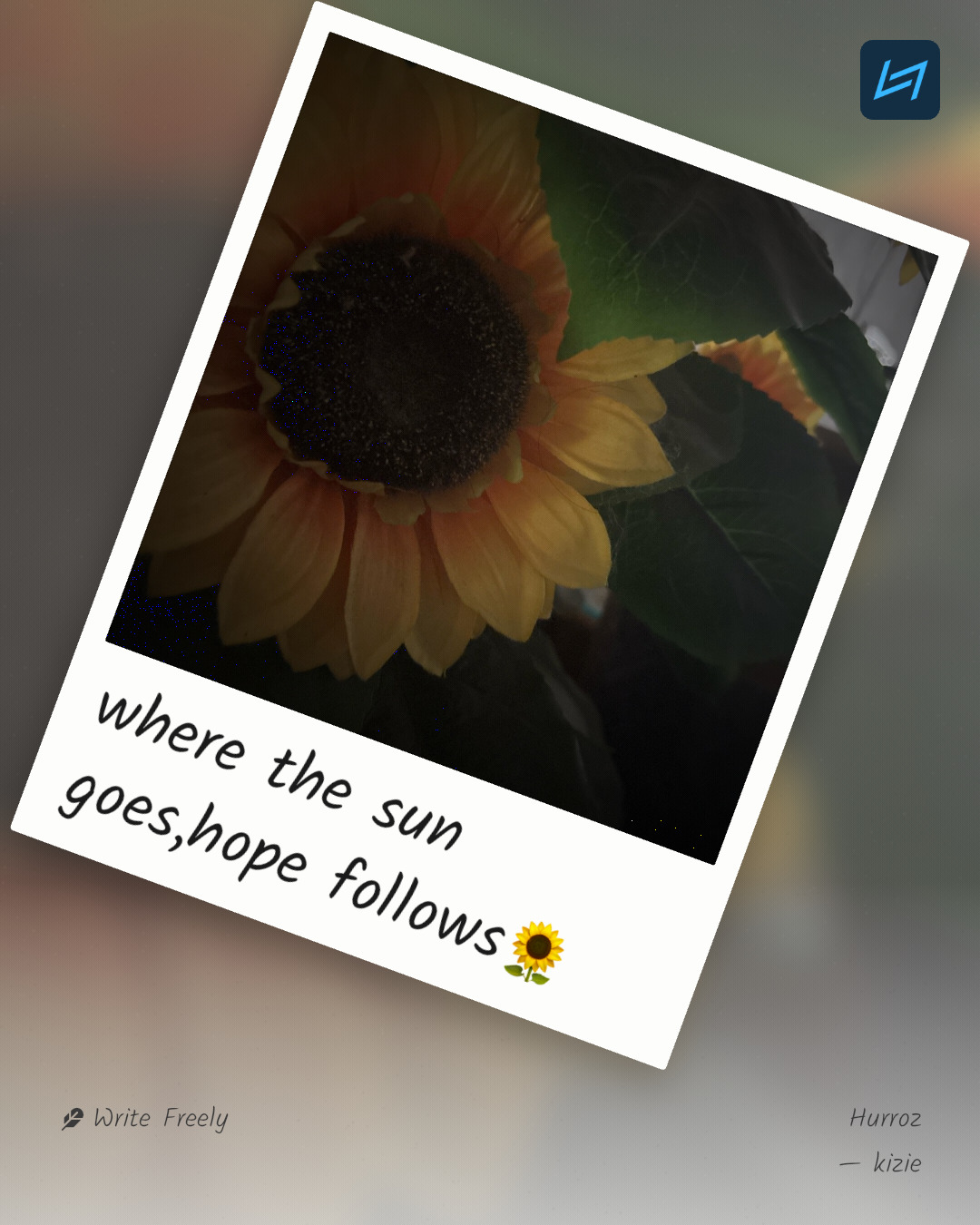 where the sun goes,hope follows🌻