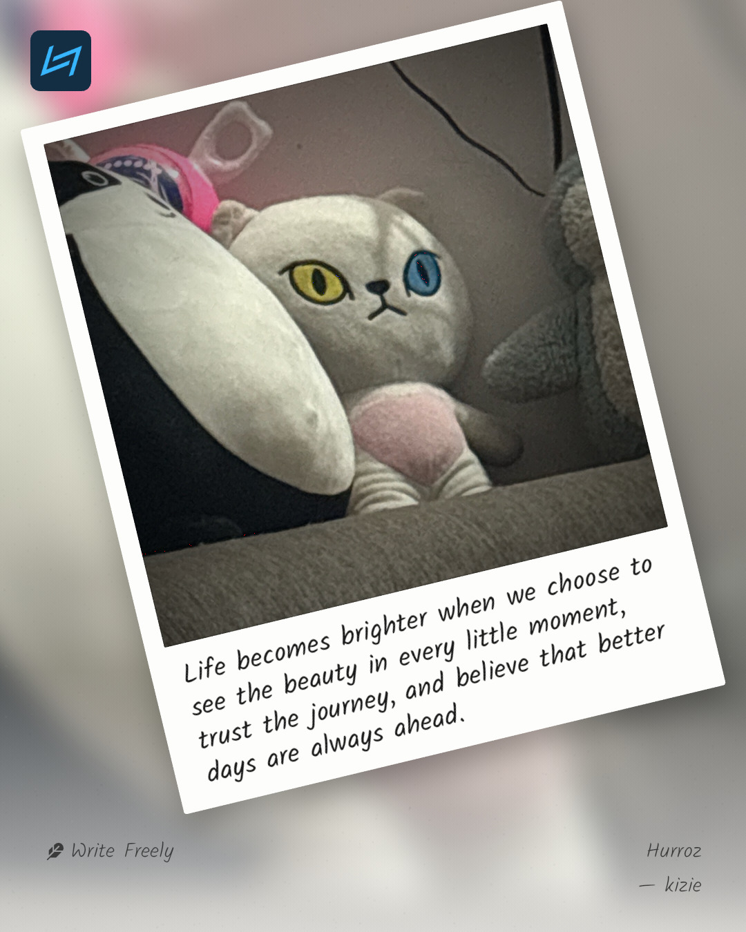 Life becomes brighter when we choose to see the beauty in every little moment, trust the journey, and believe that better days are always ahead.