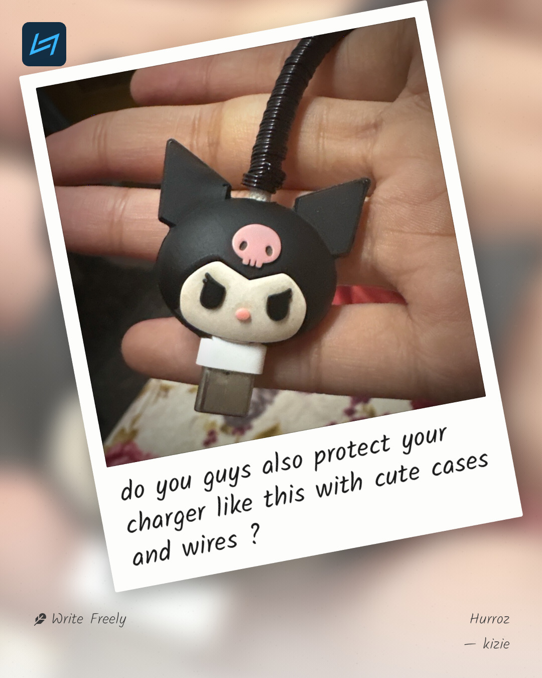 do you guys also protect your charger like this with cute cases and wires ?