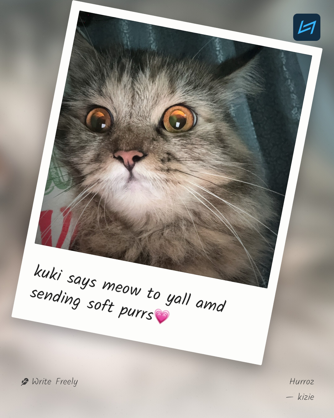 kuki says meow to yall amd sending soft purrs💗