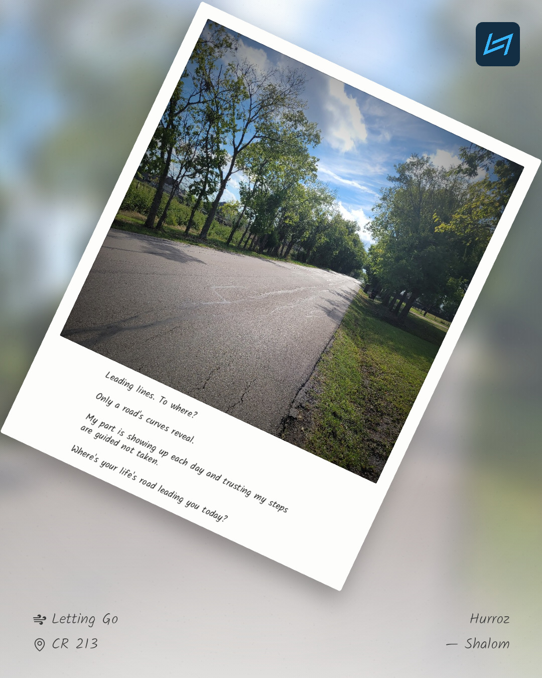 Leading lines. To where? Only a road's curves reveal. My part is showing up each day and trusting my steps are guided not taken. Where's your life's road leading you today?