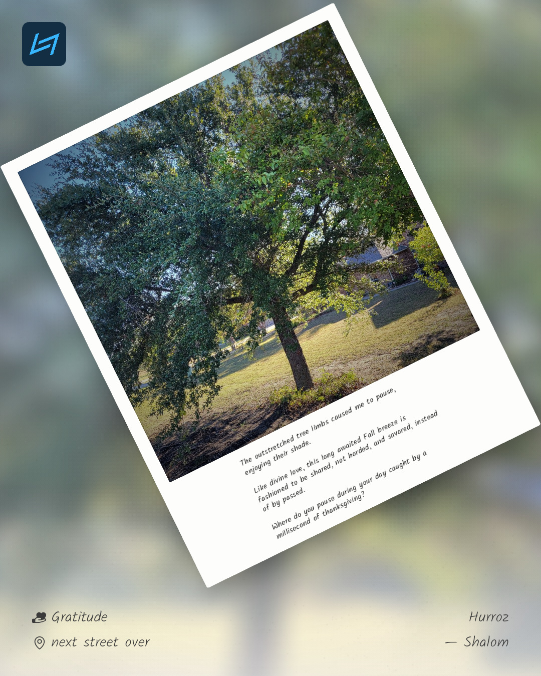 The outstretched tree limbs caused me to pause, enjoying their shade. Like divine love, this long awaited Fall breeze is fashioned to be shared, not horded, and savored, instead of by passed. Where do you pause during your day caught by a millisecond of thanksgiving?