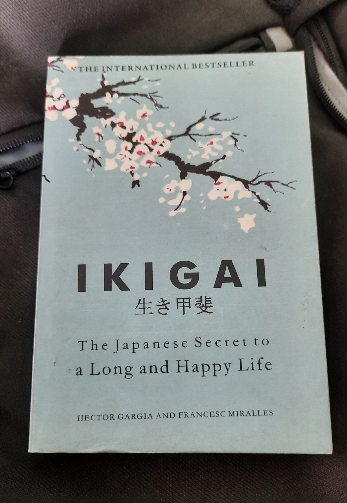 Ikigai in practice
