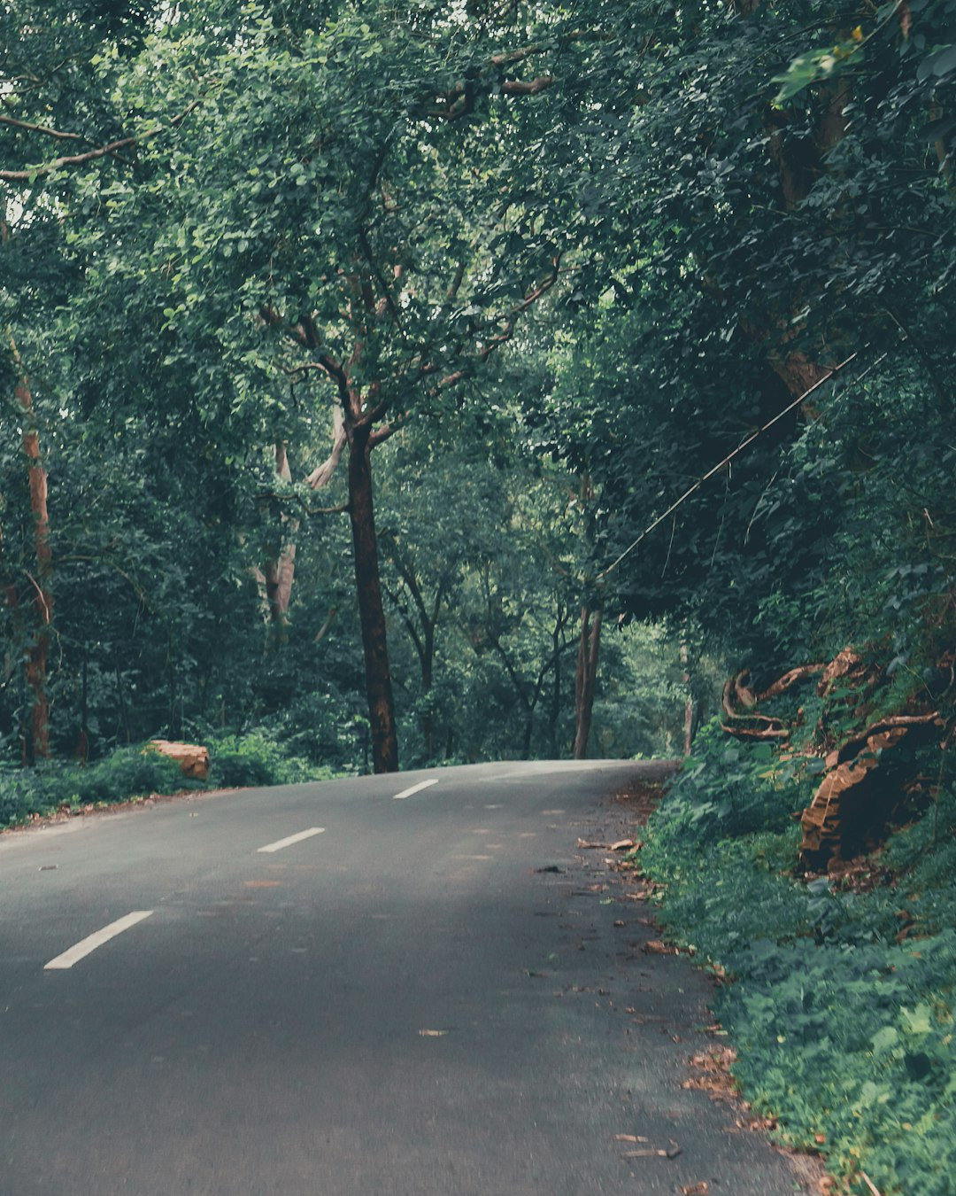 The day I stopped rushing