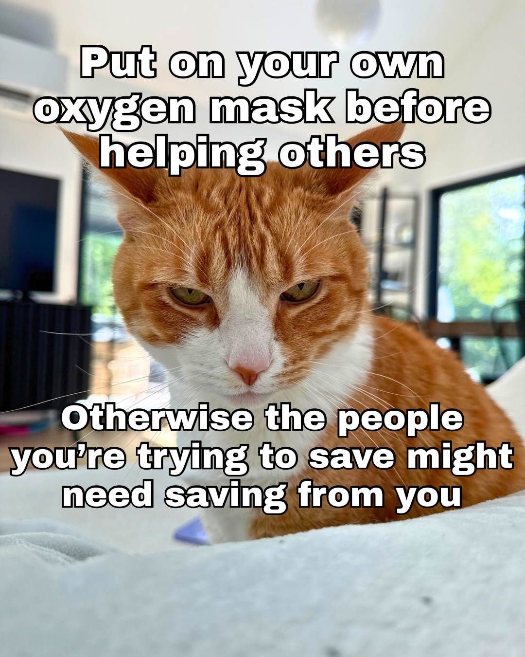 The Paradox of Being Seen
