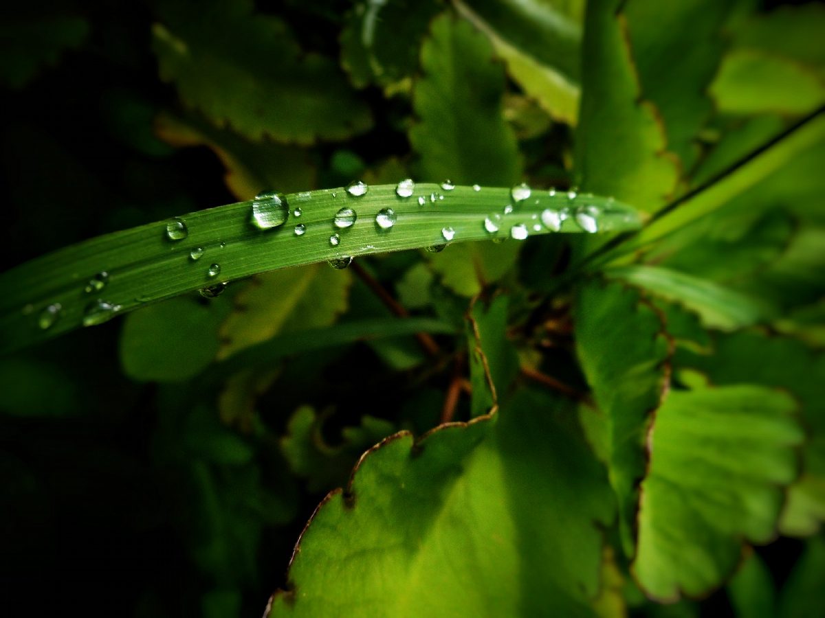 Sustainable changes