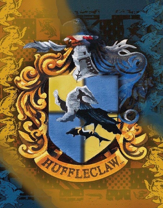why did Harry Potter movies focused so much on gryffindor and Slytherin, not other house