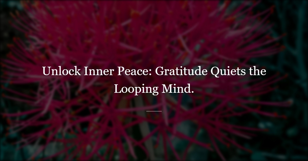 When the Mind Won't Stop, a Gratitude Practice Can Help