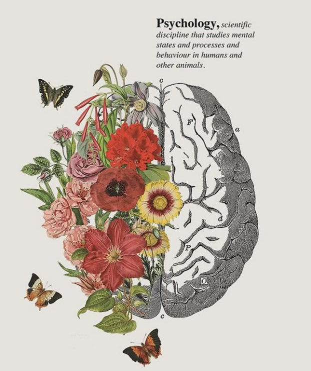 The Psychology of Everyday Life