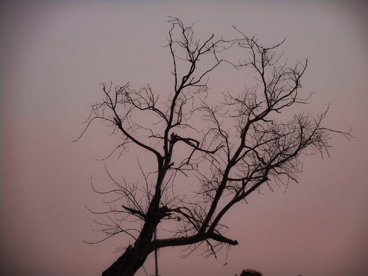 Mystery of Life