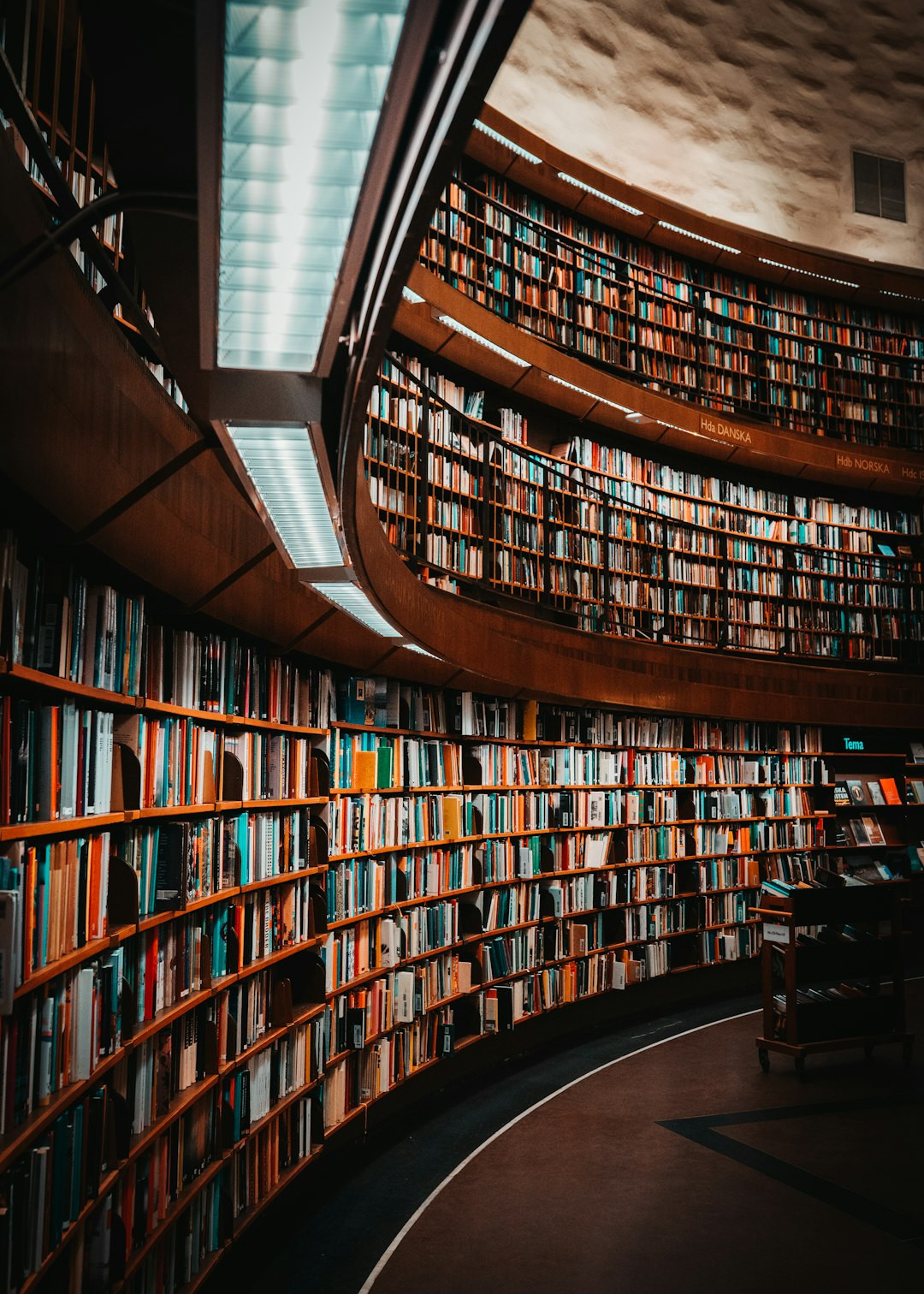 The Midnight Library