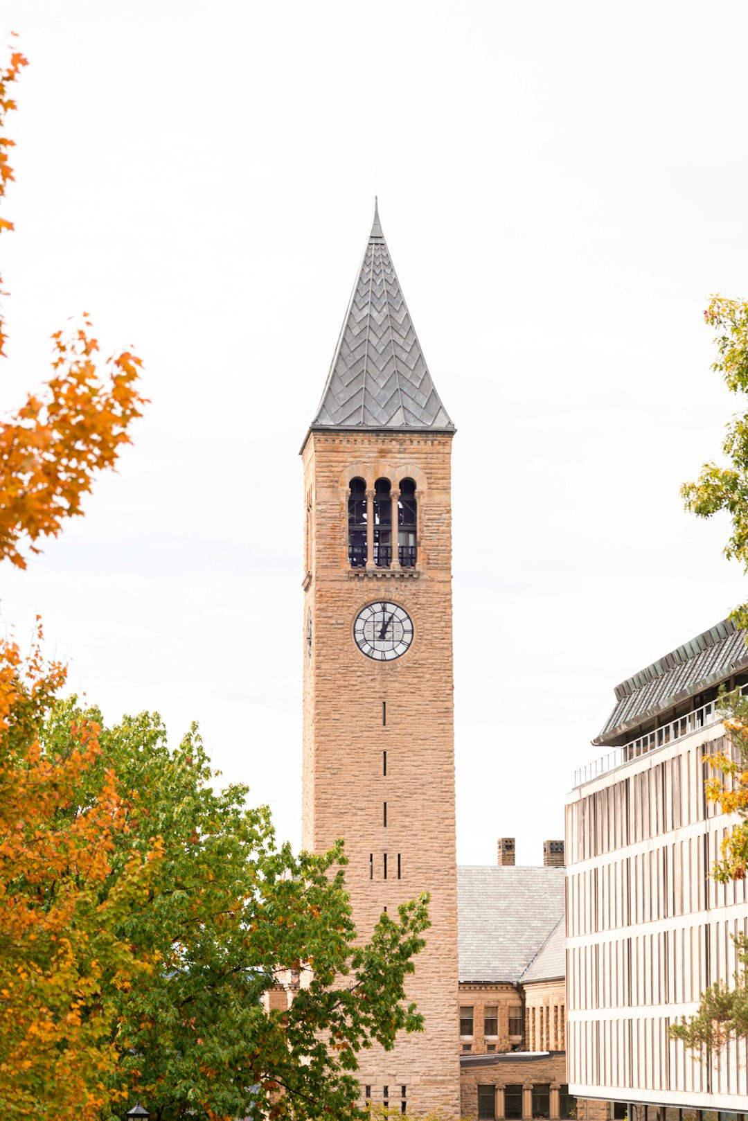 The college