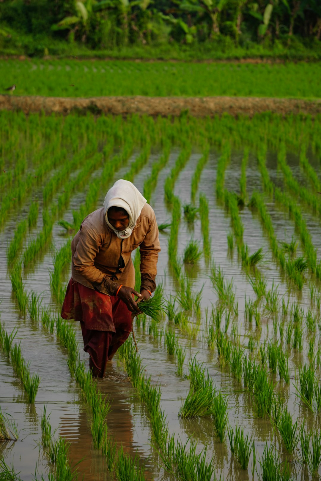 More Than Just Farming