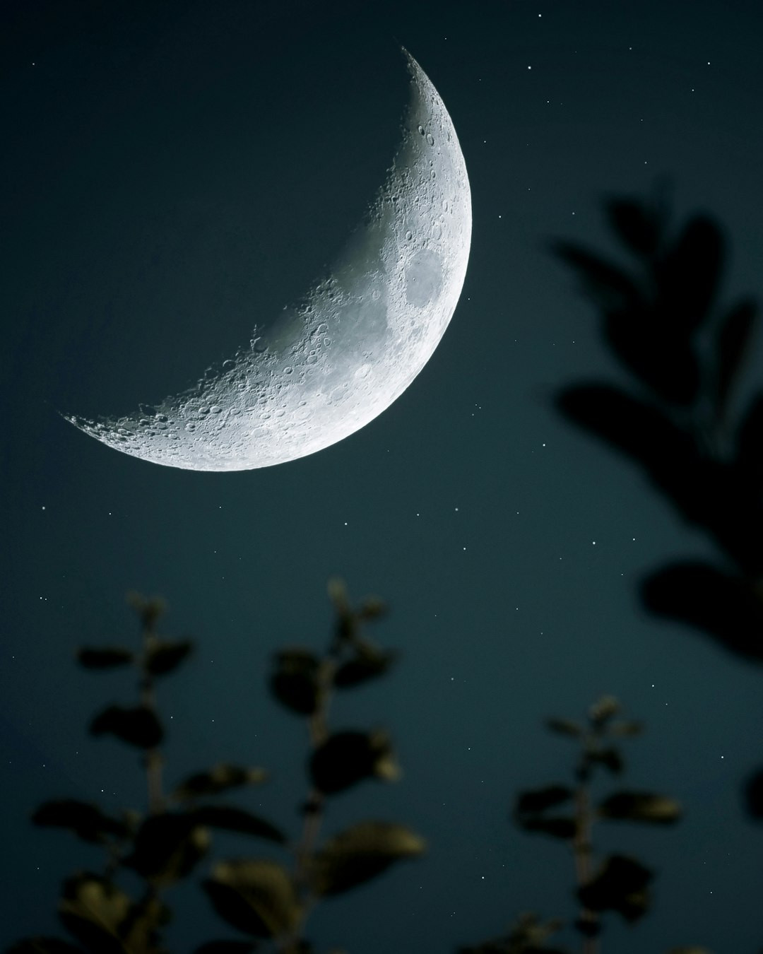 The girl who borrowed the moon