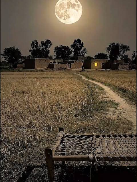 The Nights We Remember