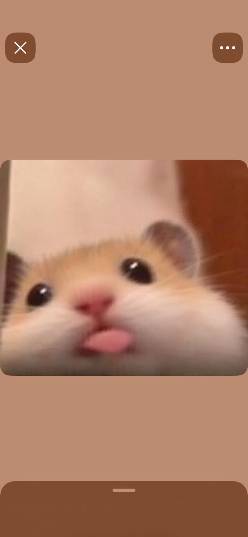 The Stupid Things My Brain Does at 2 AM šš