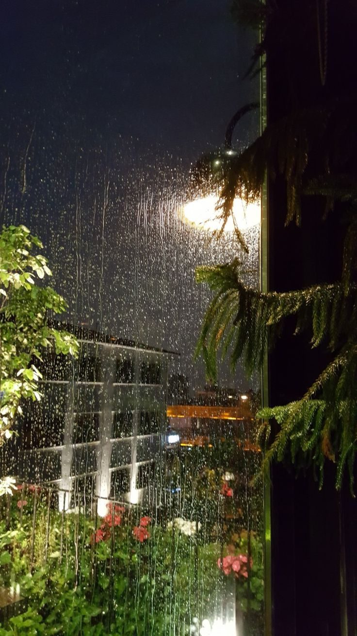Why Does Everything Feel Different When It Rains?
