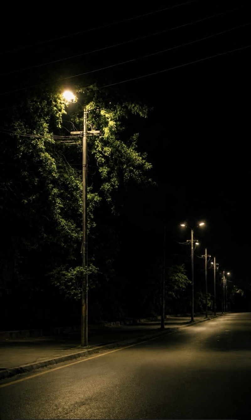 The Secret Beneath the Long Night