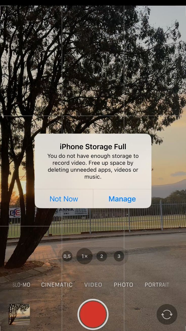 Why We Keep Saving Things We Never Look At 📱😭