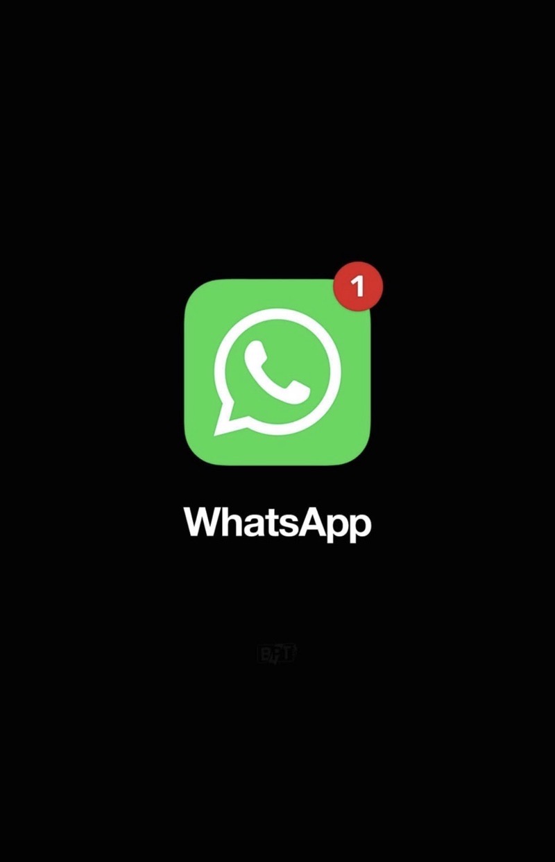 The Great Family WhatsApp Investigation