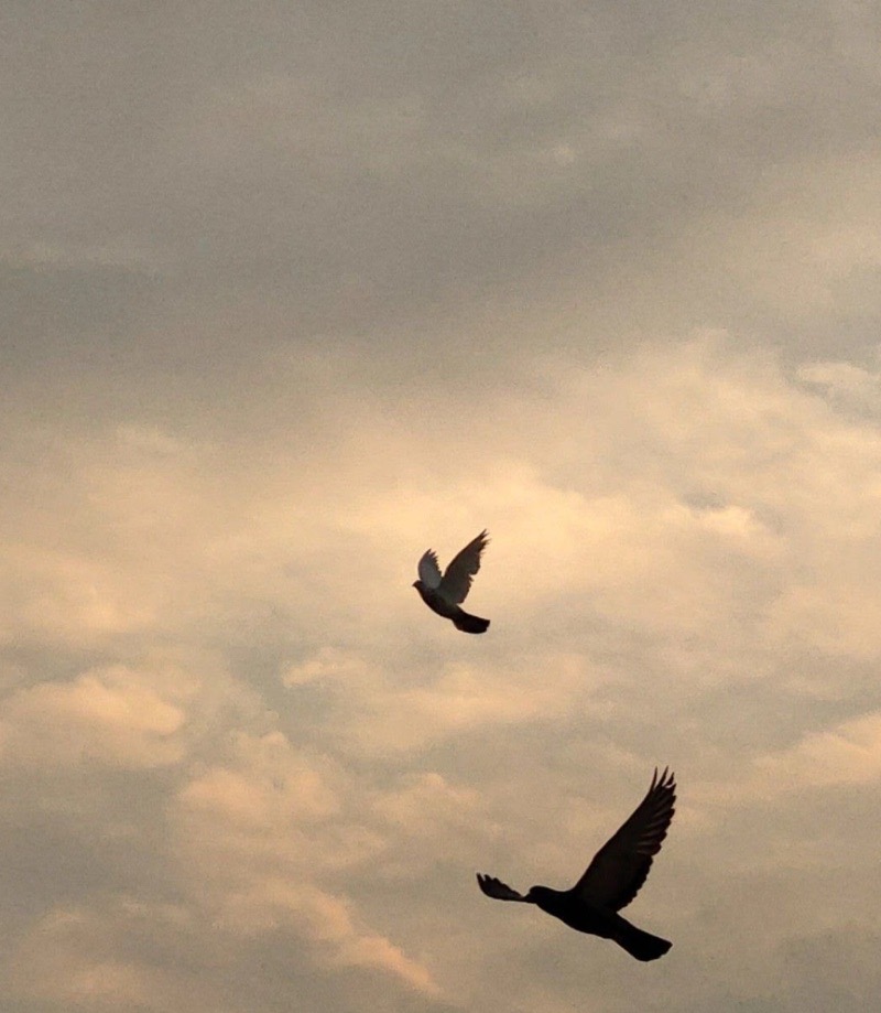 What we leave behind