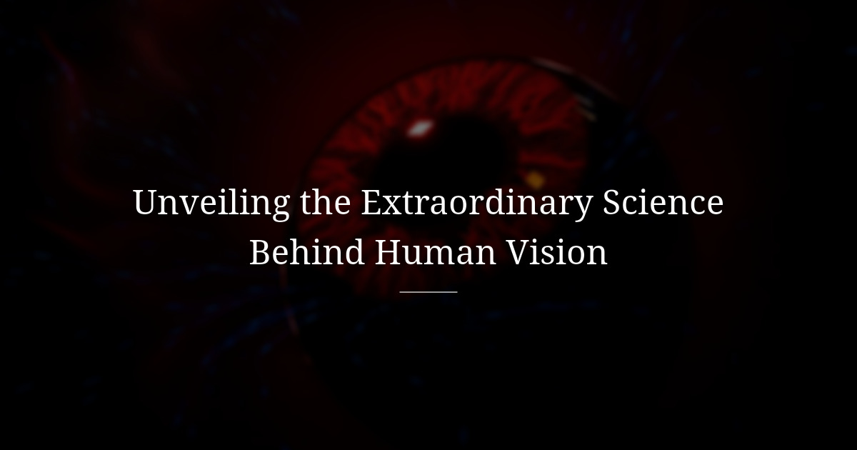 The human eye and the magic behind it