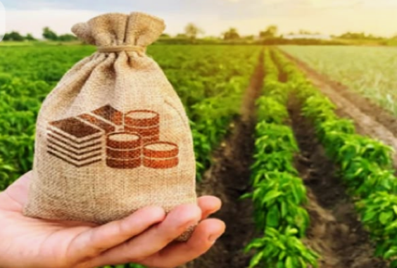 Reduce the burden of farmers loan