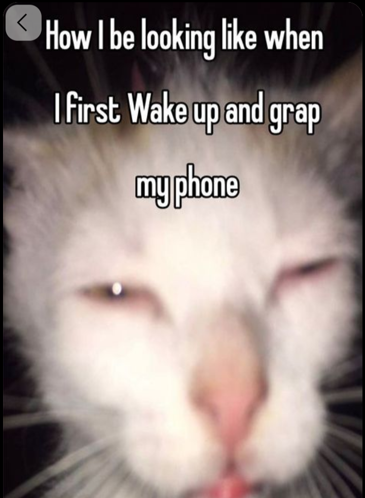 The first 10 minutes