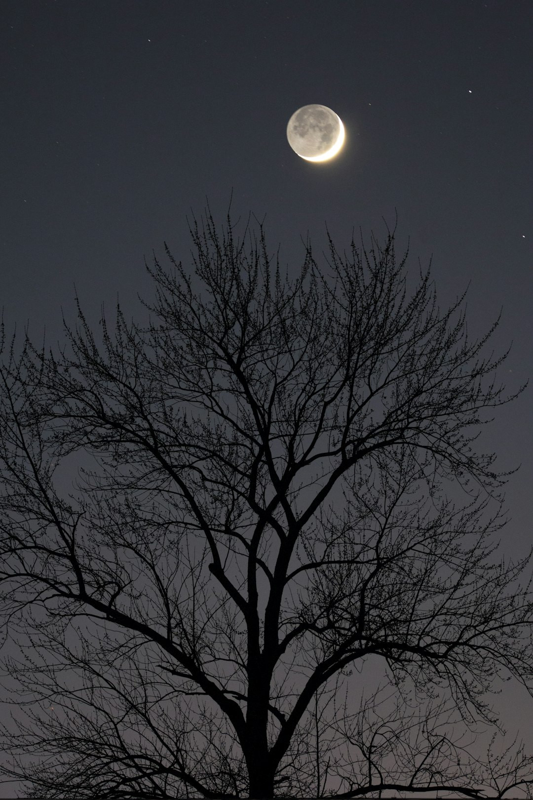 The girl who borrowed the moon