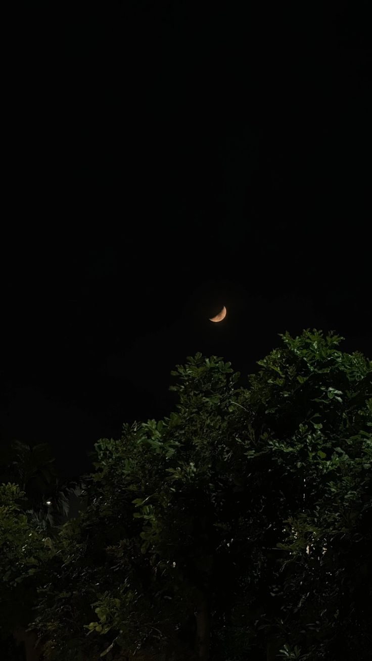 Everyone Looks At The Same Moon