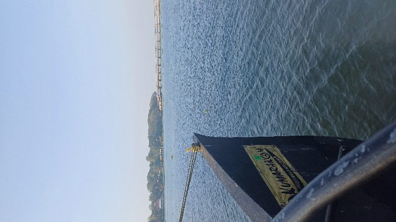 Boat Rides