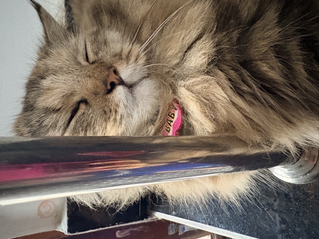 Learning to Take Responsibility for Your Own Life
