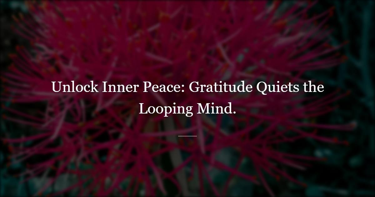 When the Mind Won't Stop, a Gratitude Practice Can Help