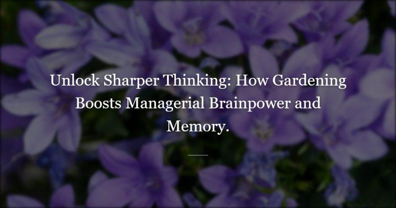 The 40-Year-Old Manager Who Gardens to Think Clearly